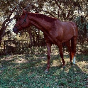 Meet your Posher, Francesca